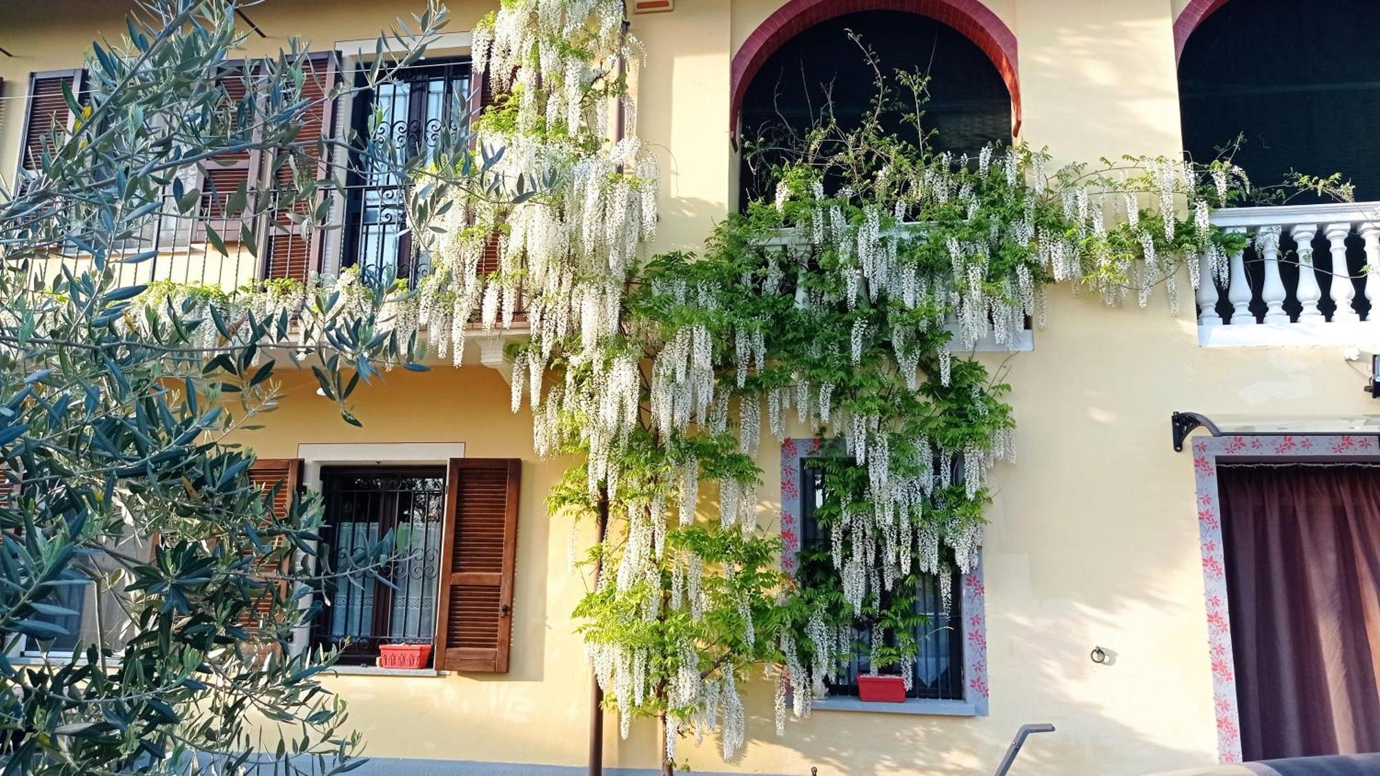 Maison d'hôtes La Casa Dei Masue' à Alba  Extérieur photo